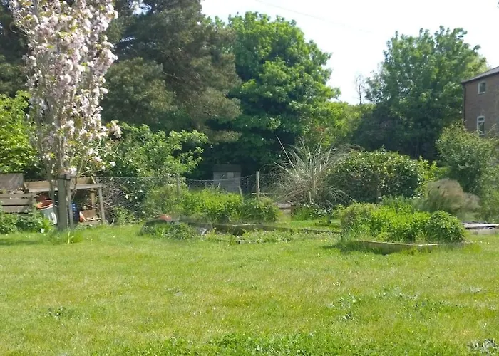 Period Cottage Near Suffolk Coast And Forest