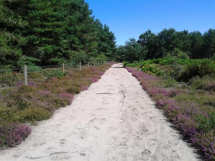 Period Near Suffolk Coast And Forest Holiday home *