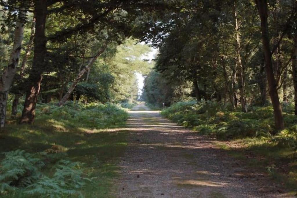 Period Near Suffolk Coast And Forest Tunstall (Suffolk)